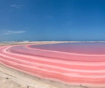 Las Coloradas: Safari Day Tour with Lunch from Cancún